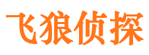 中原市婚姻调查